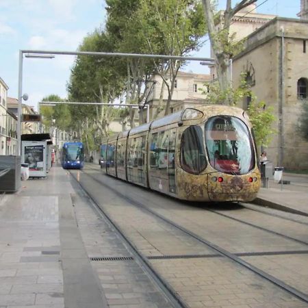 Magnifique 2 Pieces - Plein Centre - Tram 1 Min Leilighet Montpellier Eksteriør bilde